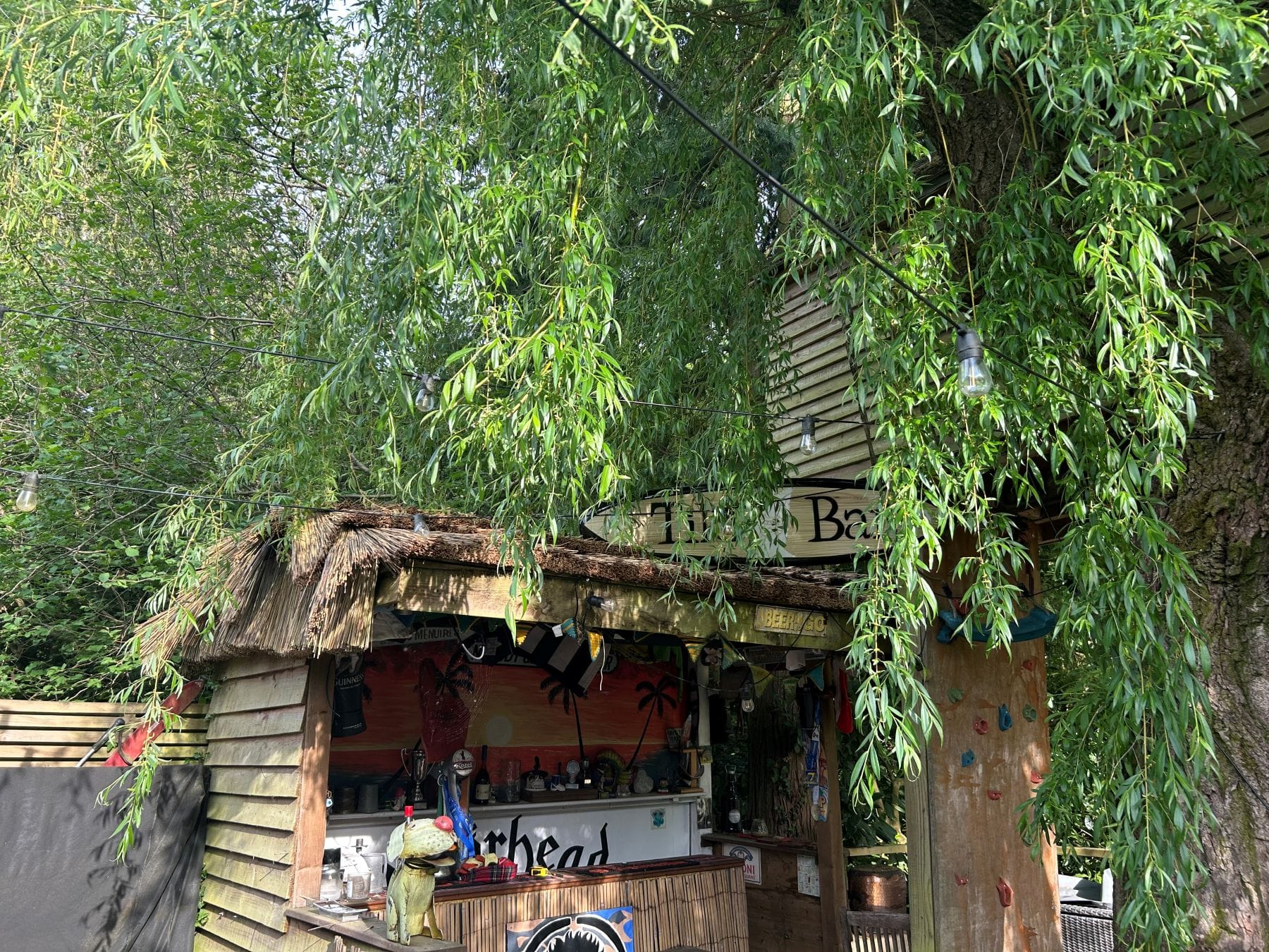 Fun space with Thatched Roof