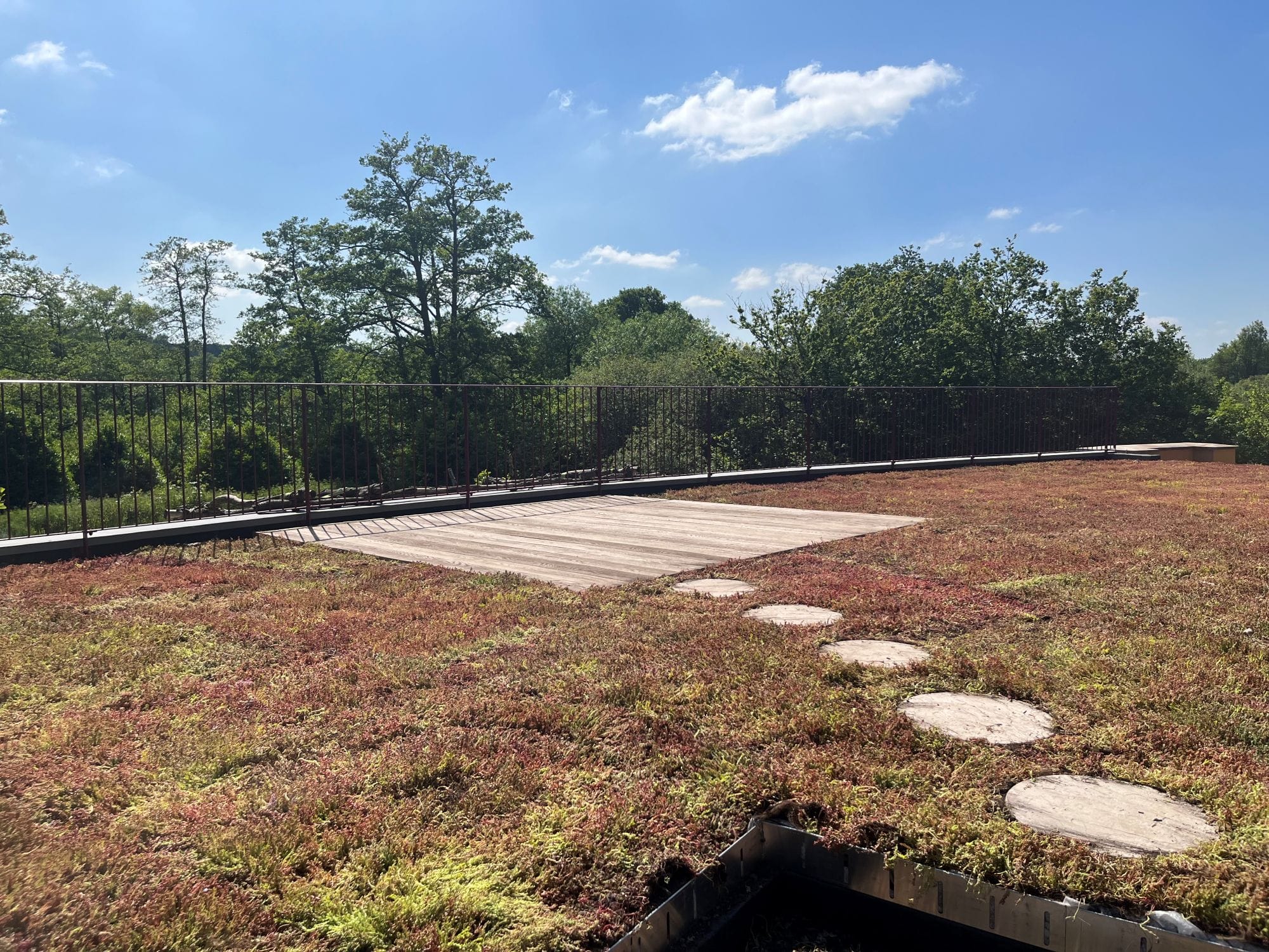 Ultra Cool and Environmentally Friendly