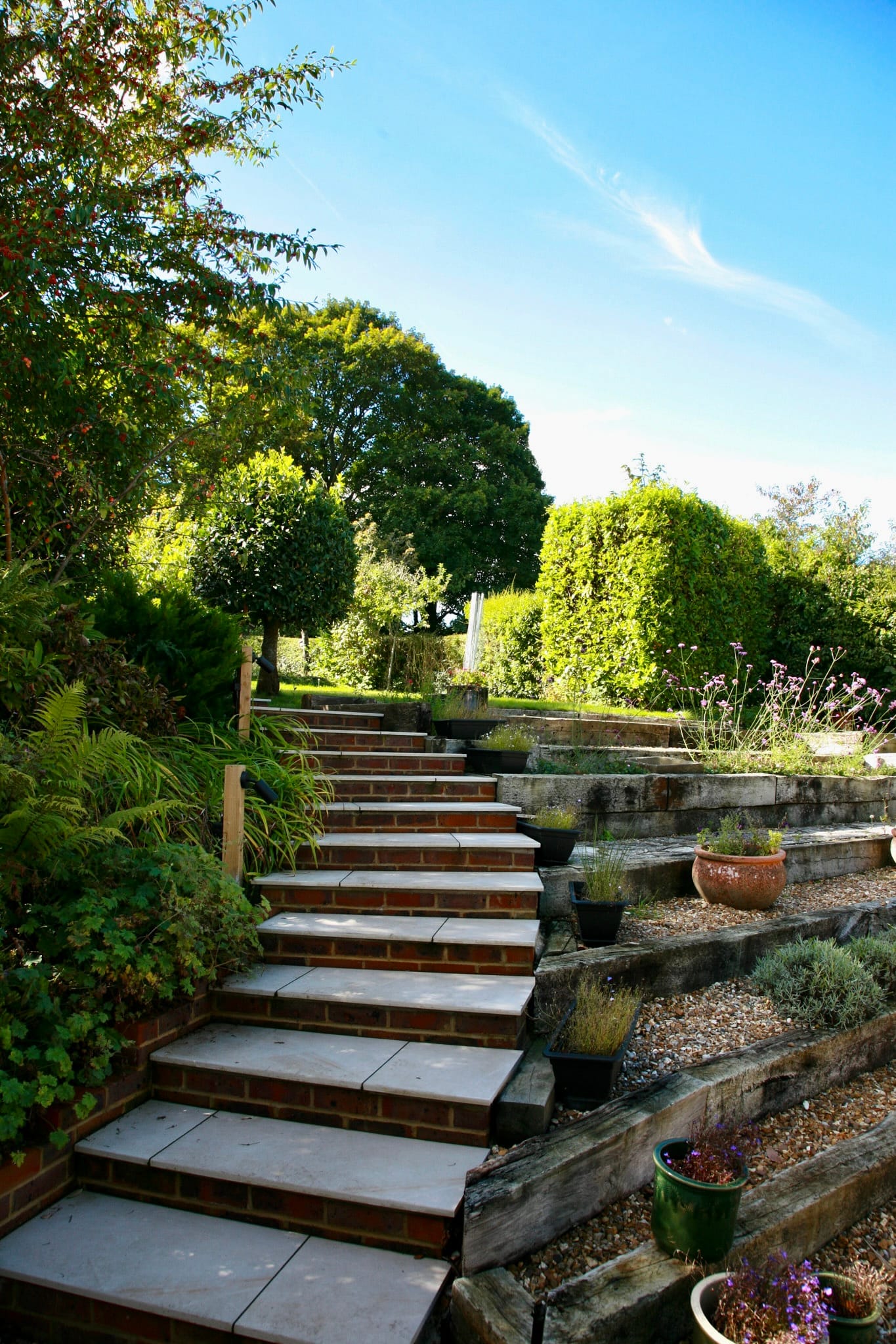 Renewed Steps and Pergola
